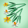 LEGO Botanicals 40747 Żonkile - 1202095 - zdjęcie 5